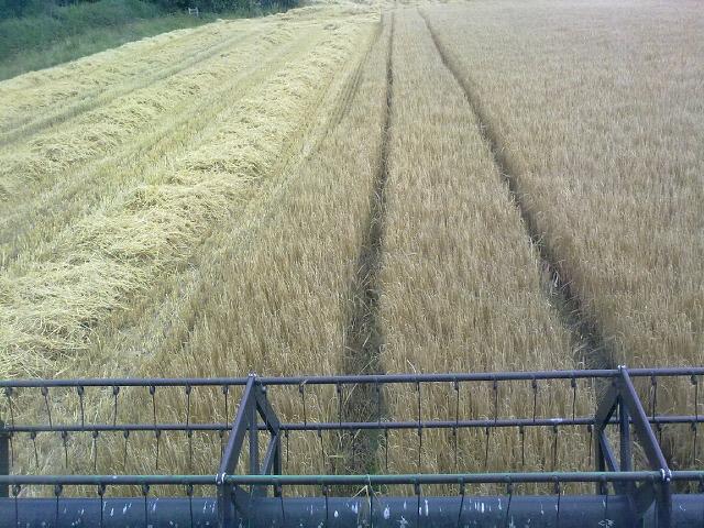 Combine Harvesting