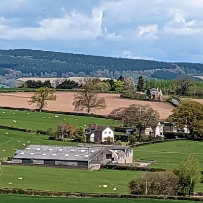 Agriculture